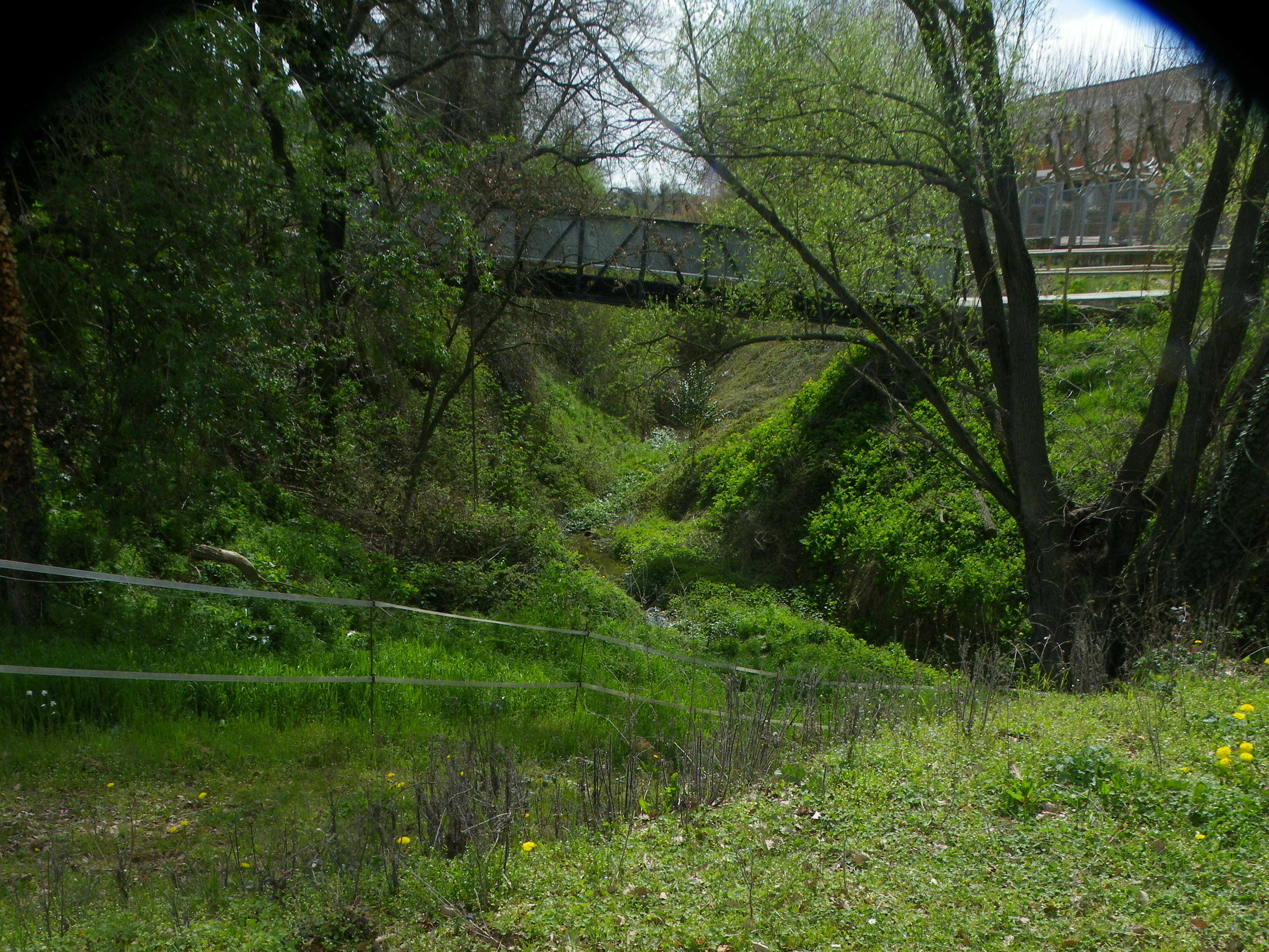 Imatge pels mitjans: Passeig eco-educatiu . Torrent de Santa Eugènia.